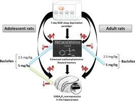 Targeting retrieval of methamphetamine reward memory in the context of REM sleep deprivation: Age-dependent role of GABAB receptors