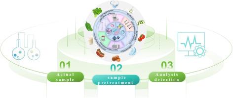 Recent advances in the application of MOFs and COFs composites for sample preparation