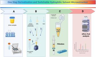 One step derivatization and switchable hydrophilicity solvent-based microextraction for the determination of adamantane analogues in human urine by HPLC-FLD