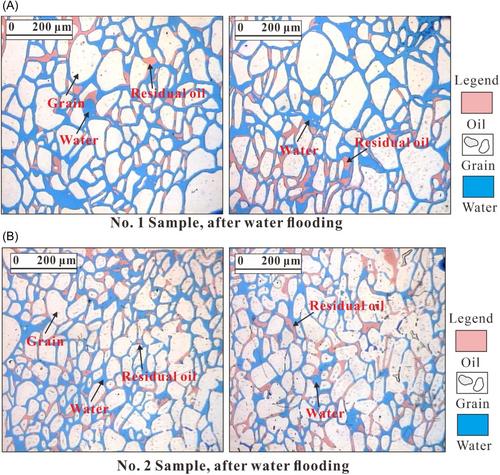 Study on characteristics, efficiency, and variations of water flooding in different stages for low permeability oil sandstone