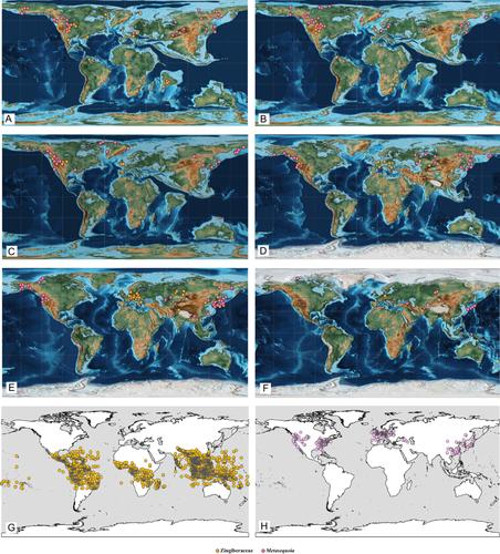 Where did they come from, where did they go? Niche conservatism in woody and herbaceous plants and implications for plant-based paleoclimatic reconstructions