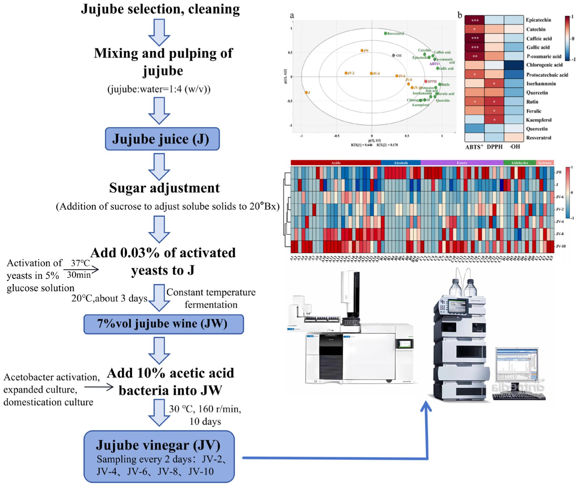 Study on changes of bioactive substances and flavour characteristics during fermentation of jujube vinegar