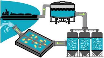 Examining the effectiveness of oiled ballast water treatment processes: insights into hydrocarbon oxidation product formation and environmental implications†