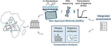 Cytotoxic and molecular effects of soil extracts from the Agbogbloshie electronic-waste site on fish and human cell lines†