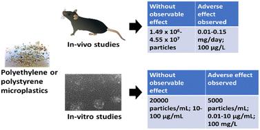 A review of the toxic effects of microplastics based on studies on mammals and mammalian cell lines†