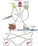 Di(2-ethylhexyl)phthalate and type 2 diabetes