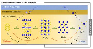 Three-step thermodynamic vs. two-step kinetics-limited sulfur reactions in all-solid-state sodium batteries†