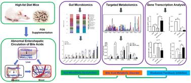 Abnormal enterohepatic circulation of bile acids caused by fructooligosaccharide supplementation along with a high-fat diet†