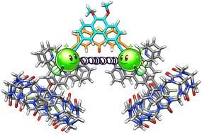 Supramolecular self-sorting predicted by a simple harmonic oscillator model†