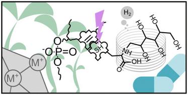 A sustainable lecithin-based ligand for the bio-functionalization of iron and hybrid metal organic frameworks (MOFs) nanoparticles with the sugar mannose†