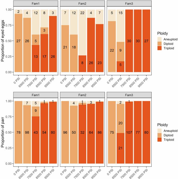 Chromosomal aberrations and early mortality in a non-mammalian vertebrate: example from pressure-induced triploid Atlantic salmon