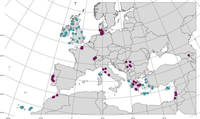 Too big to purge: persistence of deleterious Mutations in Island populations of the European Barn Owl (Tyto alba)