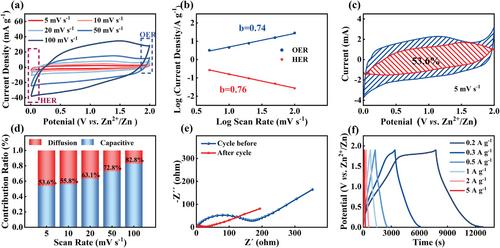N-Doped Porous Carbon Based on Anion and Cation Storage Chemistry for High-Energy and Power-Density Zinc Ion Capacitor