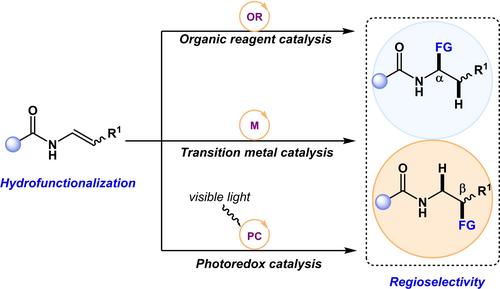 Catalytic Strategies for the Selective Synthesis of α‐ and β‐Functionalized Amines via Hydrofunctionalization of Enamides