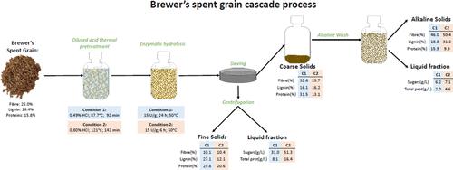 Fractionation of Brewer’s Spent Grain Using a Cascade Process for Carbohydrate Release and the Simultaneous Production of Protein and Fiber Fractions Targeting the Food Industry