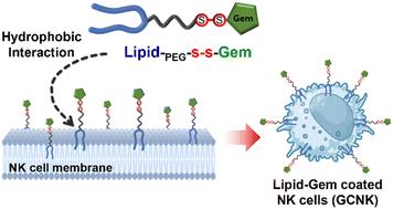 Membrane-immobilized gemcitabine for cancer-targetable NK cell surface engineering†