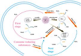 Delivery of Cu(ii) and Mn(ii) by polydopamine-modified nanoparticles for combined photothermal and chemotherapy†