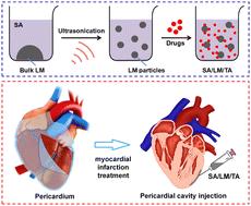 Delivery of liquid metal particles and tanshinone IIA into the pericardial cavity for myocardial infarction treatment†