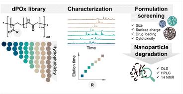 Unveiling the power of liquid chromatography in examining a library of degradable poly(2-oxazoline)s in nanomedicine applications†