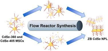 Insights into the formation of CdSe nanoplatelets using a flow reactor†