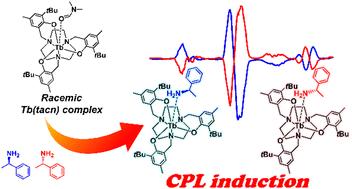 Circularly polarized luminescence induction on a Tb(iii) complex with a tris(o-tert-butylaryloxide)-functionalized 1,4,7-triazacyclononane ligand coordinating chiral 1-phenylethylamine†