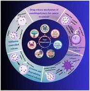 Nanobiopolymers in cancer therapeutics: advancing targeted drug delivery through sustainable and controlled release mechanisms