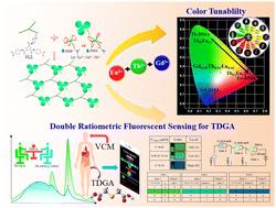 Amide-functionalized lanthanide metal–organic frameworks: smart double ratiometric fluorescence sensing of thiodiglycolic acid and tunable luminescence†