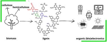 Green gold: prospects of lignin in organic electronics and bioelectronics