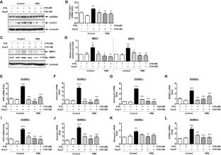 Potential effects of a human milk oligosaccharide 6′-sialyllactose on angiotensin II-induced aortic aneurysm via p90RSK/TGF-β/SMAD2 signaling pathway