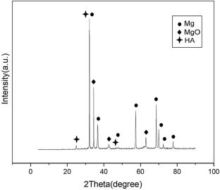 Developing Sol–Gel Hydroxyapatite-Bone Powder Composite Coatings on Mg-Zn-Ca Alloy and Studying Their Corrosion Behavior