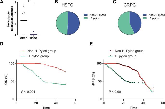 IL-17RA/CTSK axis mediates H. pylori-induced castration-resistant prostate cancer growth