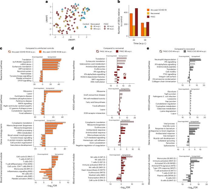 Post-acute sequelae of SARS-CoV-2 cardiovascular symptoms are associated with trace-level cytokines that affect cardiomyocyte function