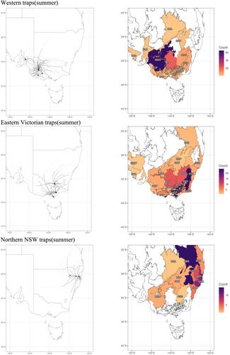 New insights from old data: the complex migration and breeding patterns of the bogong moth, Agrotis infusa (Boisduval) (Lepidoptera: Noctuidae), in eastern Australia