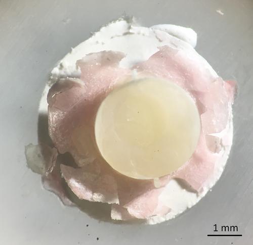 Bond strength of resin-based restorative materials to fast-setting calcium silicate cement using different resin adhesive systems