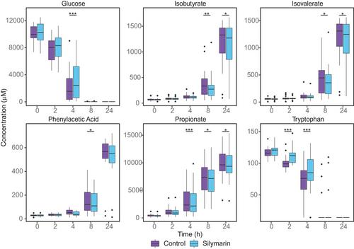 Mutual Interactions of Silymarin and Colon Microbiota in Healthy Young and Healthy Elder Subjects