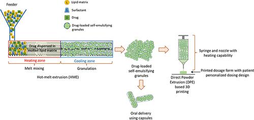 Single-Step Extrusion Process for Formulation Development of Self-Emulsifying Granules for Oral Delivery of a BCS Class IV Drug