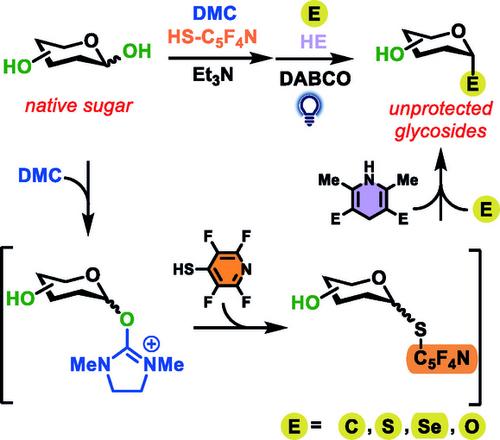 Light-Driven Site-Selective Glycosylation of Native Carbohydrates
