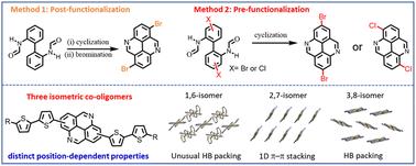Isomeric diazapyrene–thiophene conjugated systems: synthesis, characterization, and transport properties†