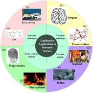 Lipidomics in forensic science: a comprehensive review of applications in drugs, alcohol, latent fingermarks, fire debris, and seafood authentication