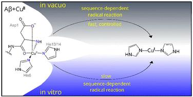 Mass spectrometry reflects key aspects of copper-amyloid β chemistry†