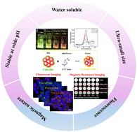 Aqueous based ultra-small magnetic Cr-doped CdSe quantum dots as a potential dual imaging probe in biomedicine†