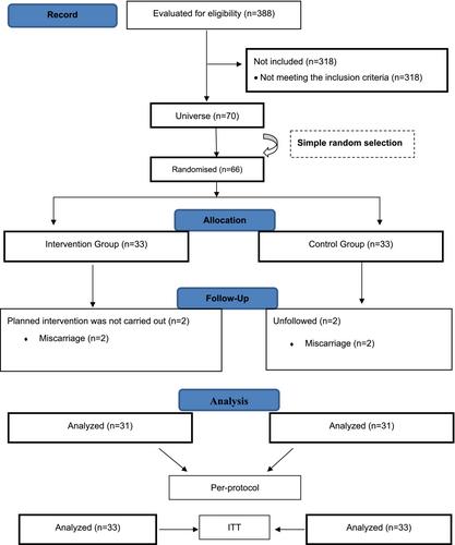 The effect of online motivational interviewing on pregnant women's smoking cessation behaviour: A randomized controlled trial