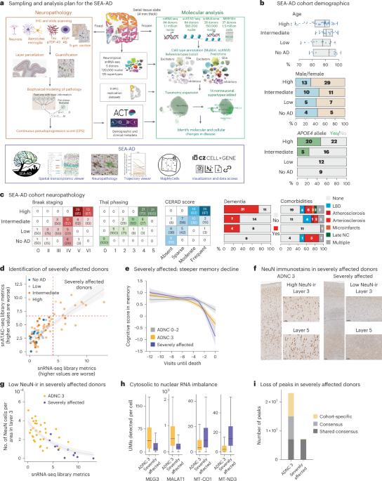 Integrated multimodal cell atlas of Alzheimer’s disease