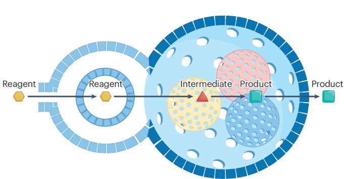 Understanding the chemistry of mesostructured porous nanoreactors