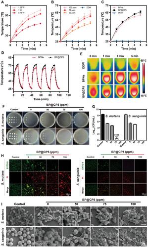 Black Phosphorus Nanosheets-Loaded Mussel-Inspired Hydrogel with Wet Adhesion, Photothermal Antimicrobial, and In Situ Remineralization Capabilities for Caries Prevention