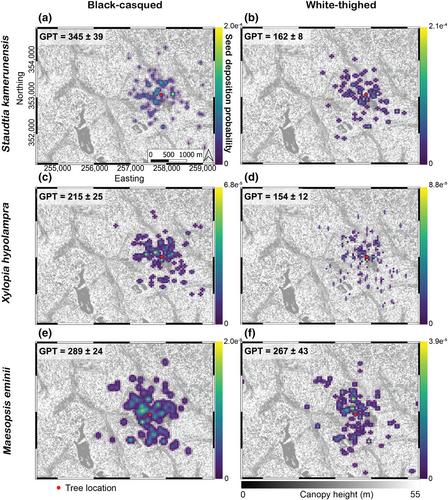 Three-dimensional vegetation structure drives patterns of seed dispersal by African hornbills