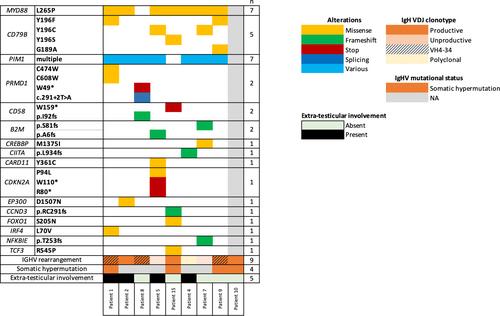 Biological Findings and Clinical Outcomes in Patients Treated With R-CHOP Plus High-Dose Methotrexate as First-Line Therapy in Large B-Cell Lymphoma With Testis Involvement