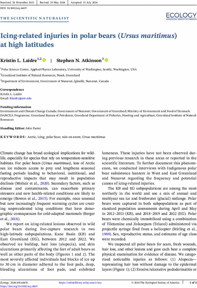 Icing-related injuries in polar bears (Ursus maritimus) at high latitudes