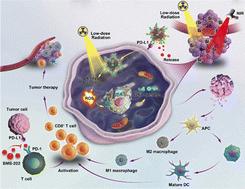 Radiation-activated PD-L1 aptamer-functionalized nanoradiosensitizer to potentiate antitumor immunity in combined radioimmunotherapy and photothermal therapy†