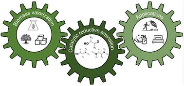 From sugars to aliphatic amines: as sweet as it sounds? Production and applications of bio-based aliphatic amines†